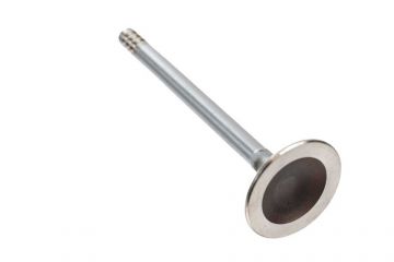 Exhaust Valve R65 to 9/80